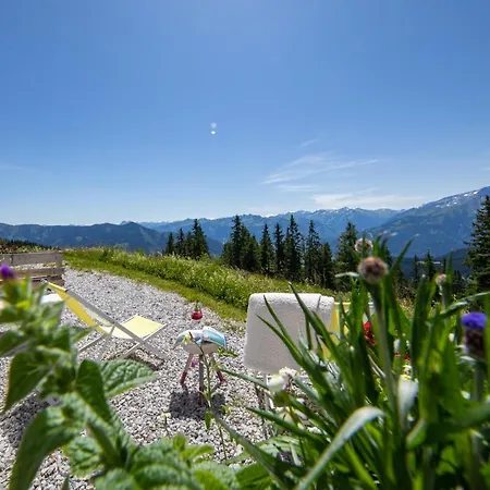 Schmiedhof Alm Готель 3*