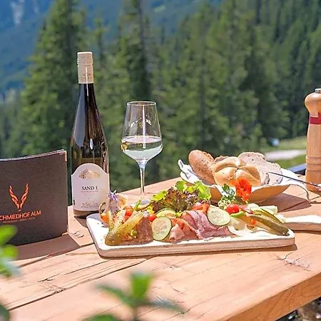 Schmiedhof Alm Hotel