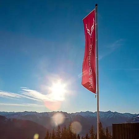 Schmiedhof Alm 3*