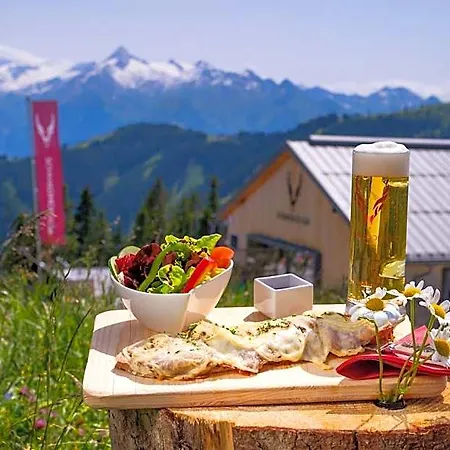 Schmiedhof Alm Готель Целль-ам-Зеє