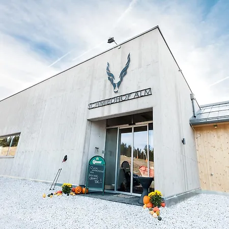 酒店 Schmiedhof Alm 3*