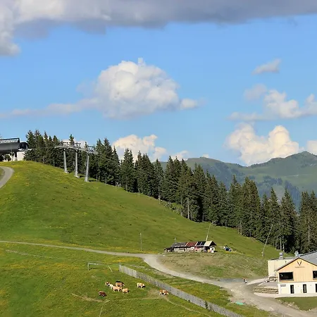 Schmiedhof Alm 3* 滨湖采尔