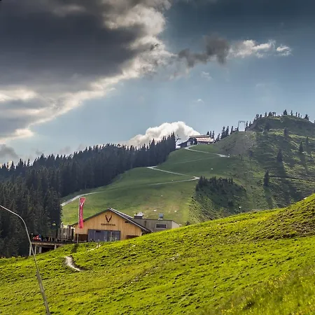 Готель Schmiedhof Alm Целль-ам-Зеє