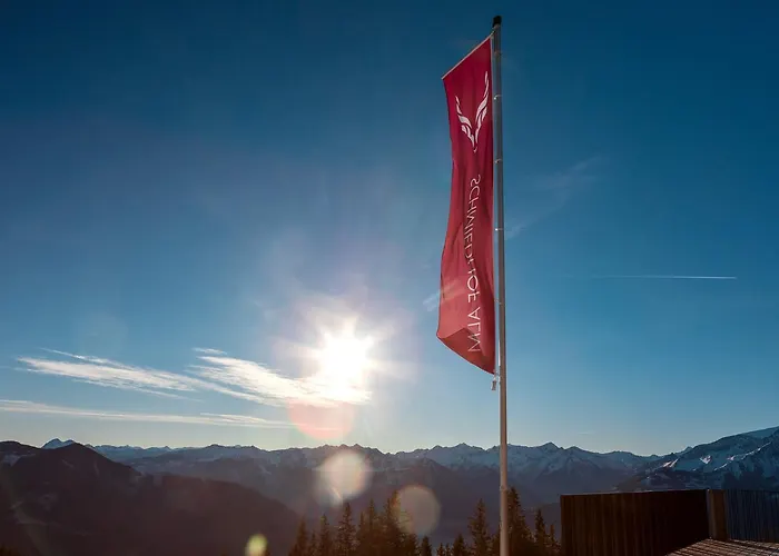 酒店 Schmiedhof Alm 滨湖采尔