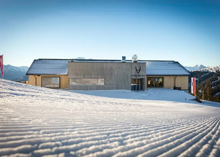 Schmiedhof Alm 酒店