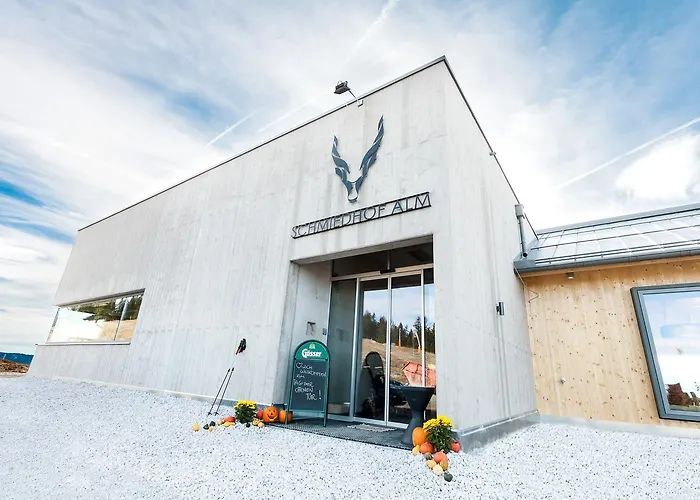 酒店 Schmiedhof Alm 3*