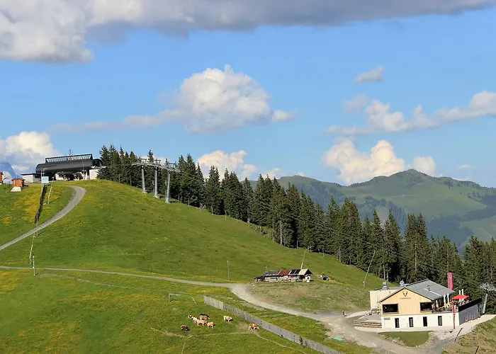 Schmiedhof Alm 3* 滨湖采尔